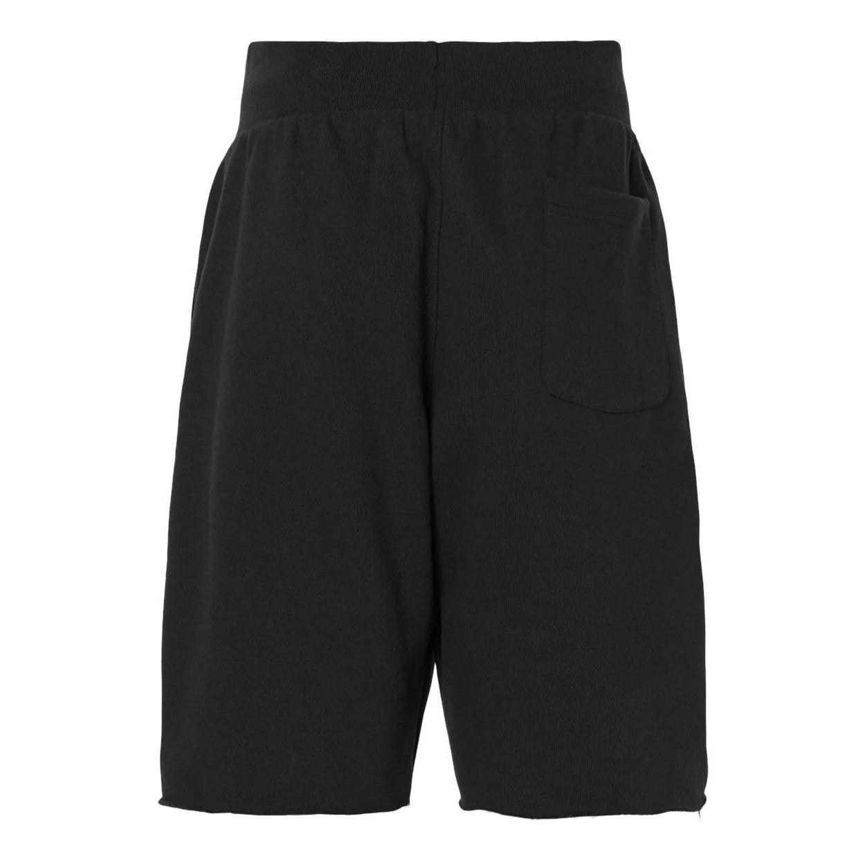 Champion Reverse Weave Shorts
