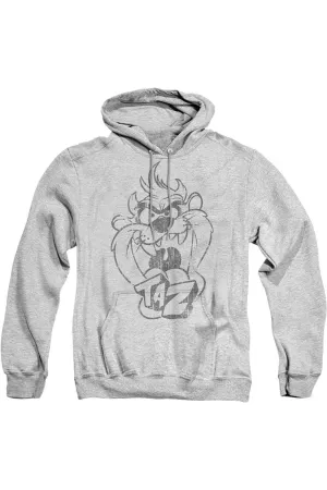 Looney Tunes Faded Taz Adult Pull Over Hoodie / Hooded Sweatshirt