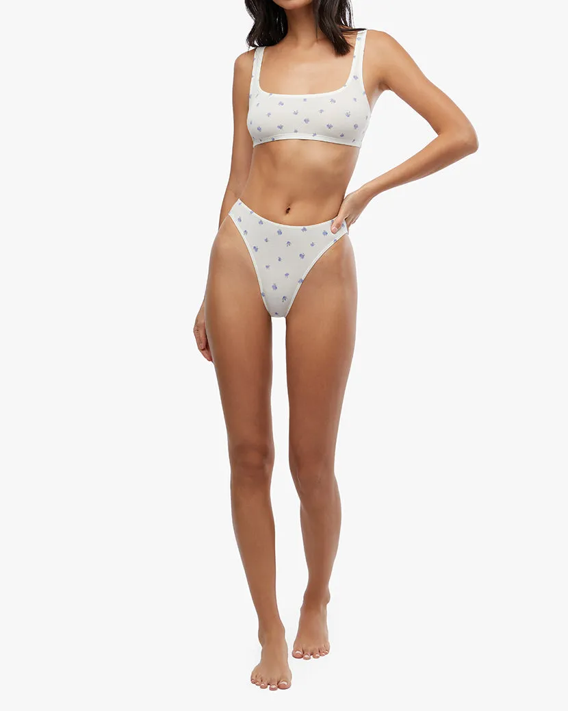 Scoop Bottom