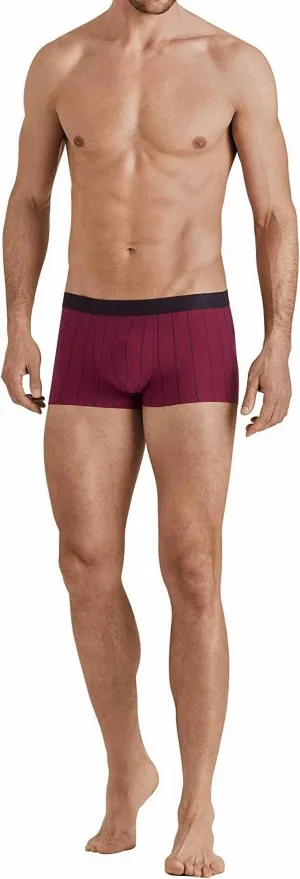 Striped Cotton Knit Boxer In Burgundy